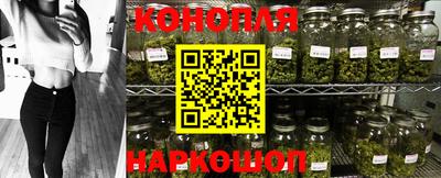 стаф Балашиха
