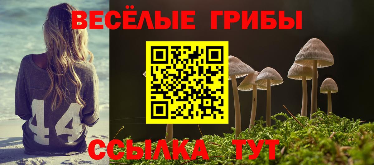Галлюциногенные грибы прущие грибы Дедовск