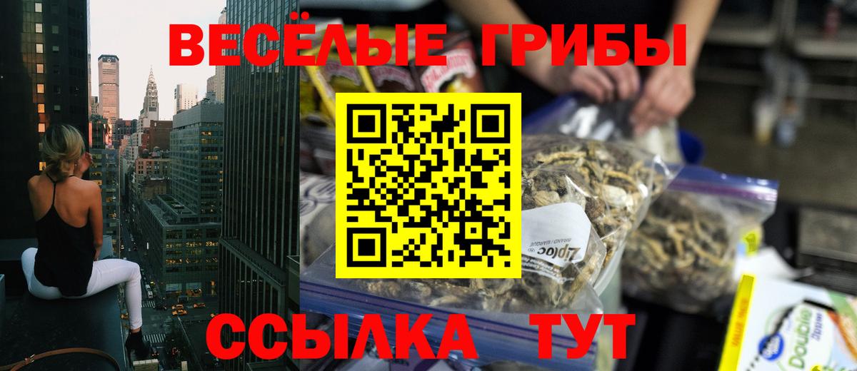 Дедовск  Псилоцибиновые грибы мухоморы  как найти закладки  Вход с VPN 